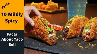 10 Mildly Spicy Facts About Taco Bell | Amazing Facts of Taco Bell