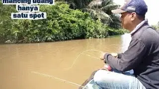 TERNYATA SPOT INI BANYAK UDANG NYA