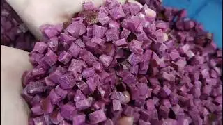 The Vegetable Cutting Machines Dice Sweet Potatoes Video Show