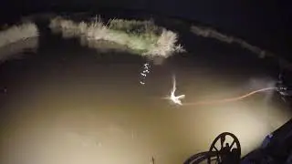 Bowfishing redfish