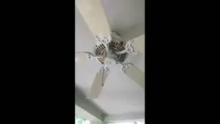 52' Litax All Weather Ceiling Fan