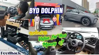 BYD  Dolphin ඇත්තටම Value for the Money ද​? With Real Customer Feedback