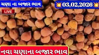 ગોંડલ ધાણાના બજાર ભાવ / નવા ચણાના બજાર ભાવ / ગોંડલ નવા ચણાના ભાવ / ,3,02,2026