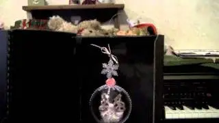 Christmas ornament for Sherry