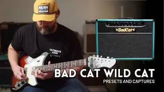 Bad Cat Wild Cat  - Tone Match Gen2 Presets and Captures