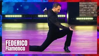 Federico, danseur de flamenco, offre un moment de pure &eacute;motion | The Dancer Belgique