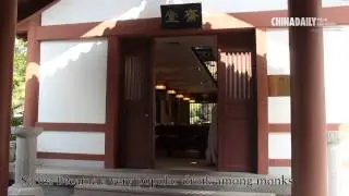 China Daily Asia Video: The Tao of tea