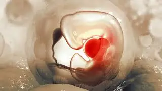 Read Full newspaper - Scientists call for review of UK&rsquo;s 14-day rule on embryo research
