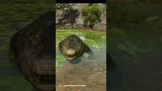 Crocodile Attack #FCVI #shorts