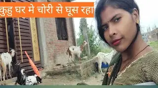 मेरे बोलो मे सोवागत है 🥰🥰# blog goat farming Veri nice culture