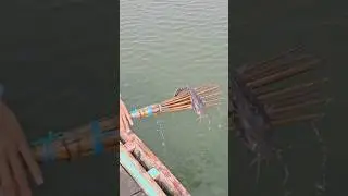 Amazing village flood water boat cast koch fishing| Boat fishing video(part_120)#shorts #viral #fish