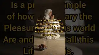 Temporary pleasure of world.😥 #quran #religion #prophetmuhammad #quran #prophet