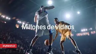 Video en 4K | Shutterstock