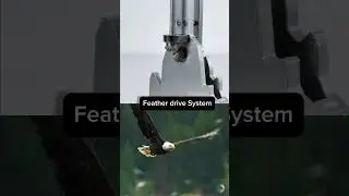 Feather Drive System | Eagle Flapping Wing Mechanism for Ornithopter & Biomimicry  #reels #trending