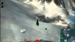 Guild Wars 2 - Bot Circlejerk