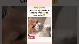 Me vs sister 😂#sister #cat #cats #funny #shorts #viral #subscribe #comedy #reels #shortvideo