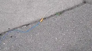 testing old quick fuse vs. new quick fuse