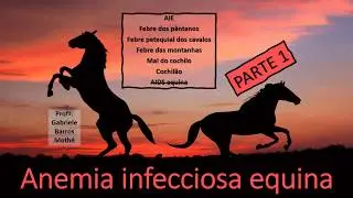 ANEMIA INFECCIOSA EQUINA - parte 1 (medicina veterinária)