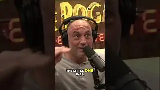 Adam Sandler Reminisces About Boston Comedy Clubs with Joe Rogan | JRE