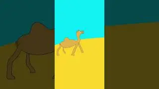 Camel | 🐪 | Toon Boom Harmony Short