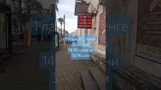 Обмен валюты в Грузии 🇬🇪#грузия #жизньвгрузии #кобулети #обменвалют #лари #черноеморе #деньги