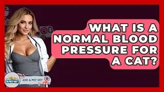 What Is A Normal Blood Pressure For A Cat? - Ask A Pet Vet