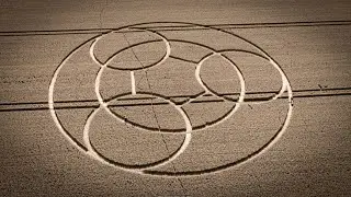 Yet Another Tri-Power croP circle design aPpears ... august 2023