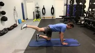 Demo-Quadruped Hip Circles