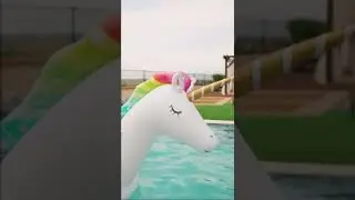 The Ultimate Water Toy 💦