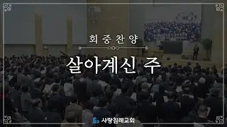 회중 찬양 - 살아계신 주 | 사랑침례교회 찬양 | 2025. 4. 27
