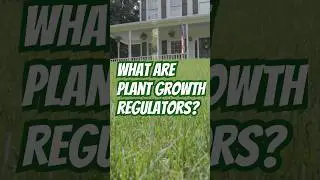 Control Grass Growth with Plant Growth Regulators (PGRs) | DoMyOwn.com