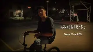 CONCENTRADO - DAVE ONE 233