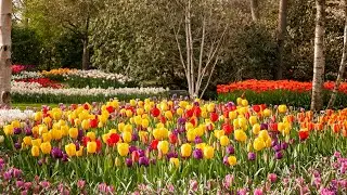 Manzaranın Guzelligi Turkiye Vlog✨️💞Breathtaking Nature of Turkey  Stunning  Relaxing Scenery💞