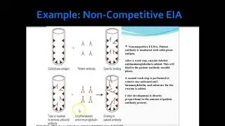 Labeling Techniques in Immunoassay