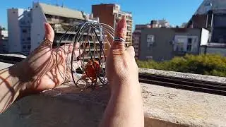 Meditar en toroide