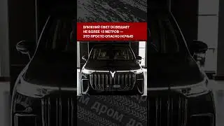 На что жалуется владелец Voyah Dream 2023 года