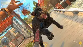 I released a black panther from the cage and it attacked me