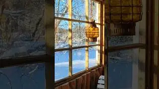 Slow living winter wonderland in Finland countryside ❄️🤍🔥🤍❄️
