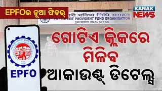 Special Report: EPFO New Feature: Get PF Balance & Account Details Instantly Without Login!