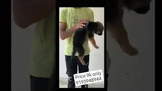 #shortvideo #delhi #hapur #noida #ghaziabad #bulandshahr #meerut #market #viral #youtube