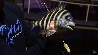 Catch Sheepshead | From a Dock Fast pier fishing tips