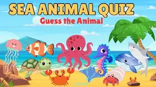Ocean Quiz For Kids | Can You Name These Sea Animals?