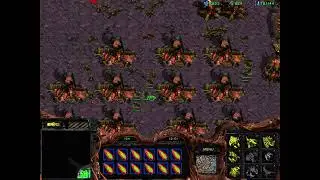 StarCraft 星海 2026 01 13  異形1V7隨機 不封門 狗海 示範