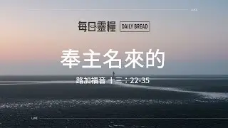 【每日靈糧】路加福音十三：22-35｜陳永正牧師_20260203