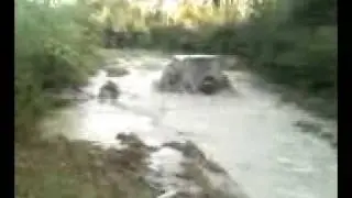 Lake Worth small pond damp 2
