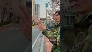 Цветение Сакуры или Вишни!  #хангук #hanguk #korea #freedom