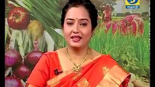 Krishidarshan - 23 May 2018 - रेशीम शेतीची यशोगाथा