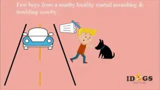 Idogs - Say no to animal abuse