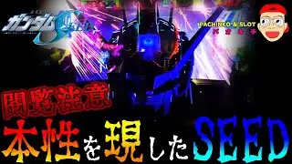【機動戦士ガンダムSEED】遂に本性を現したSEEDの真の姿をご覧ください