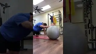 Stability ball lat stretch.  Improve shoulder mobility and posture.
